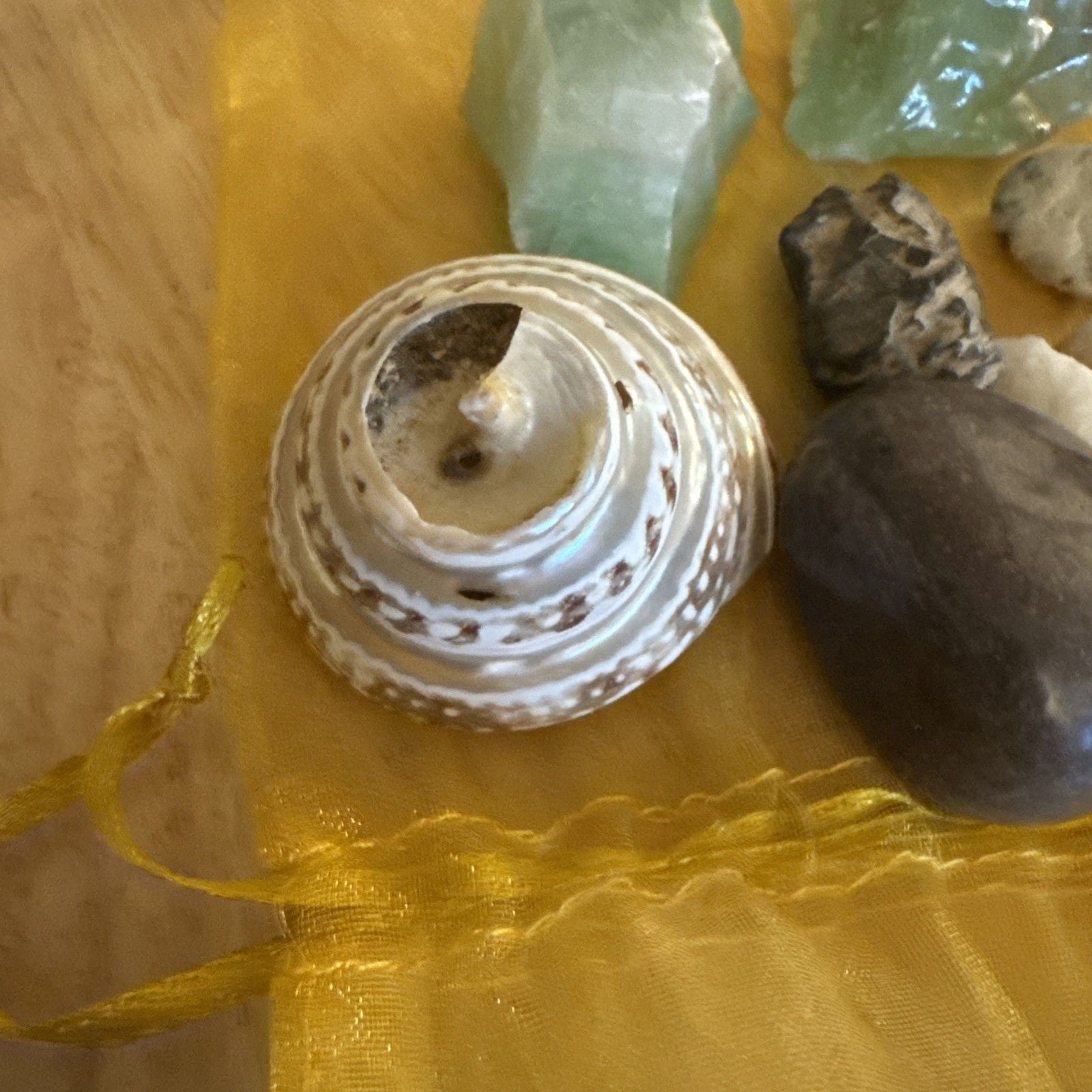 Natural Crystal & Stone Bundle – Raw Green Crystals, Seashell, Pouch 6