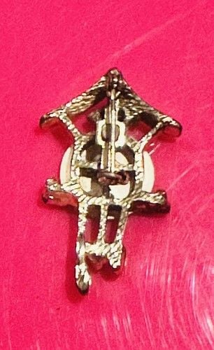 Vintage Cuckoo Clock Brooch 1” Inch Roman Numerals Over Mother Of Pearl Unsigned 6