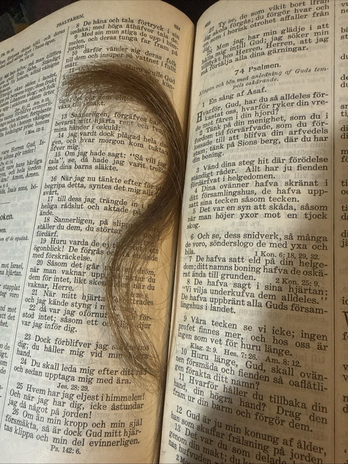 Antiq 1908 Swedish Bible 'Bibeln eller Den Heliga Skrift' Leather With Hair 1