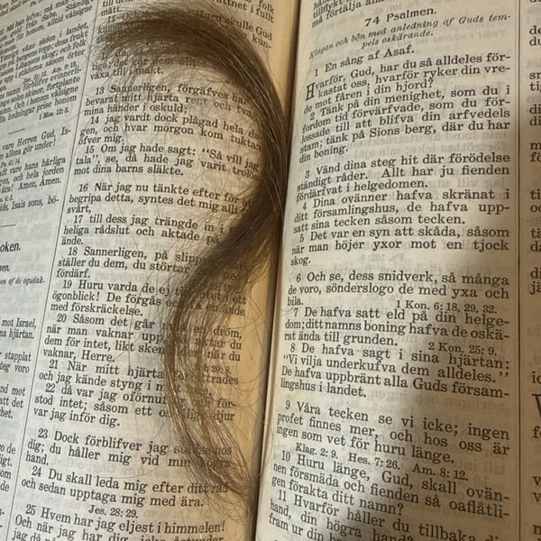 Antiq 1908 Swedish Bible 'Bibeln eller Den Heliga Skrift' Leather With Hair
