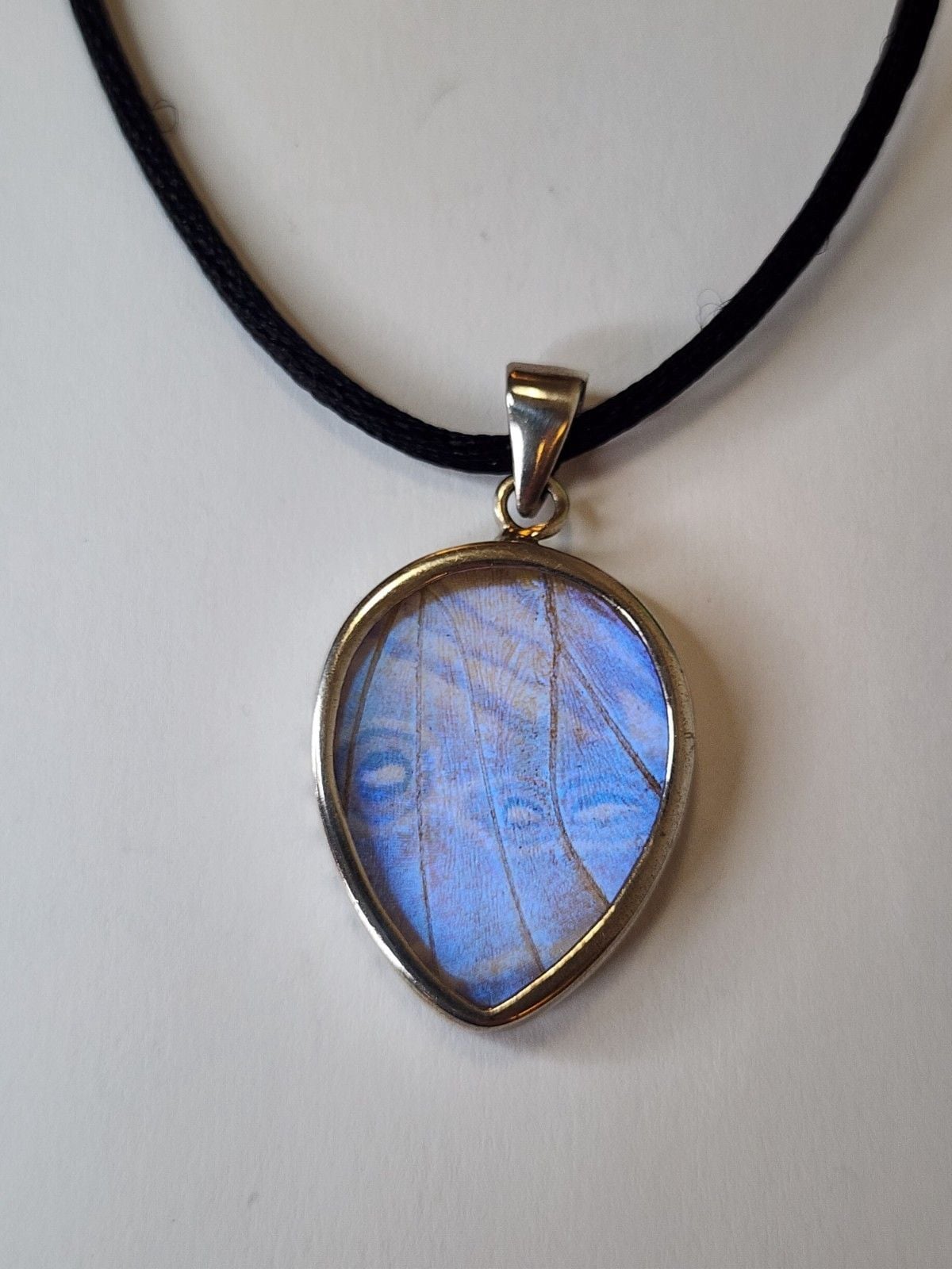Sterling Silver Real Moth Wing Pendant 4
