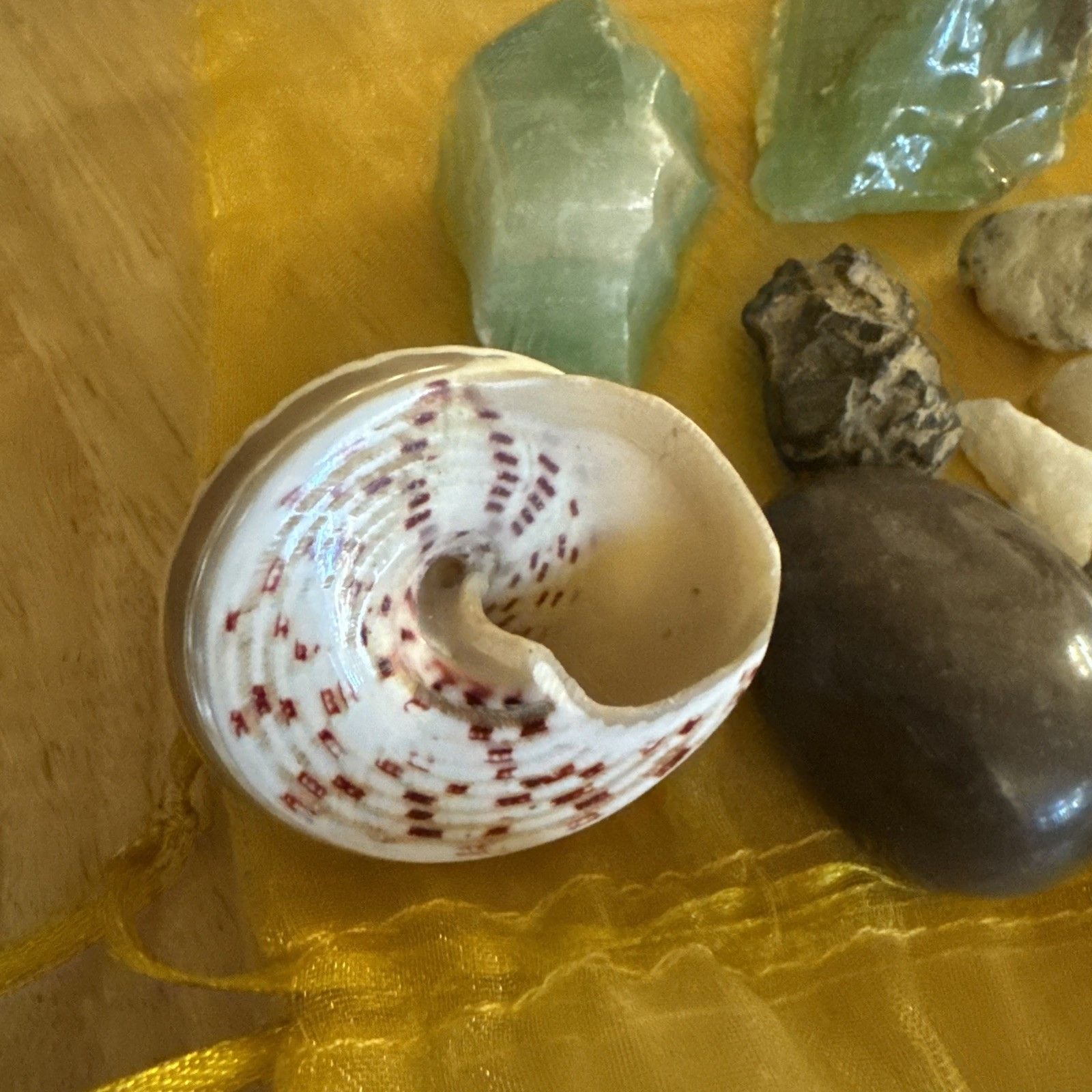 Natural Crystal & Stone Bundle – Raw Green Crystals, Seashell, Pouch 2