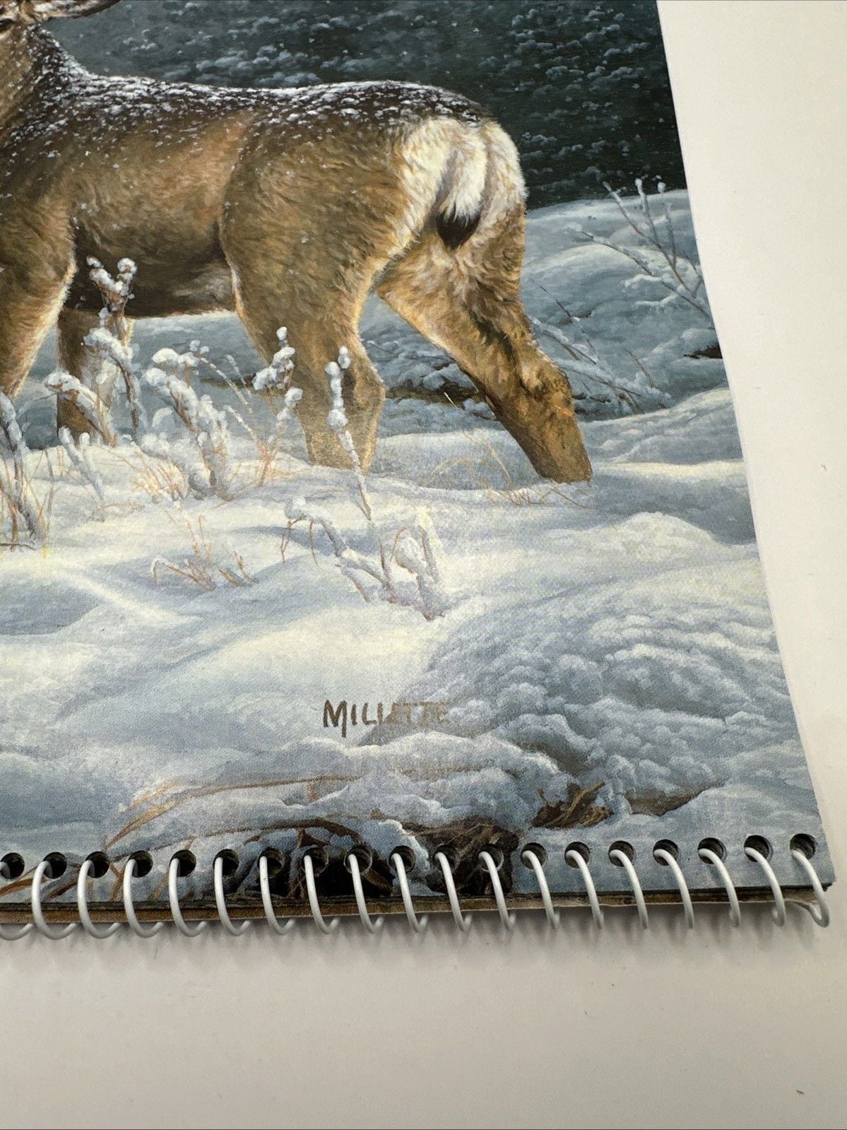 Vintage 2008 Remington Hunting Calendar Gays True Value Tunkhannock Pa Deer Hunt 3