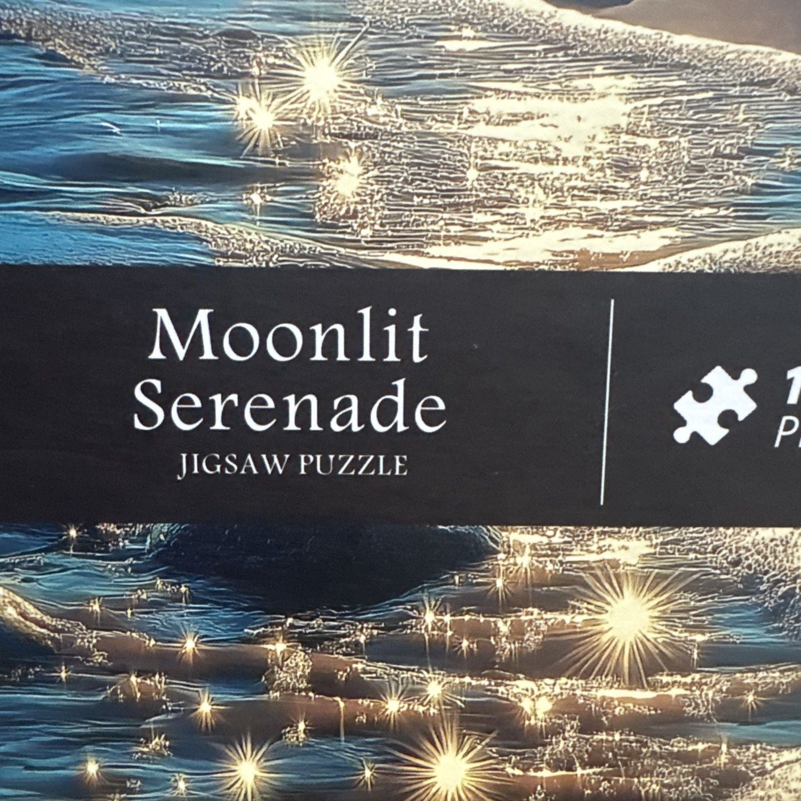 PICKFORU Beach Jigsaw Puzzle 1000 Pieces, Ocean Moonlit Serenade Summertime 4