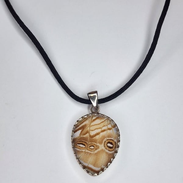 Sterling Silver Real Moth Wing Pendant