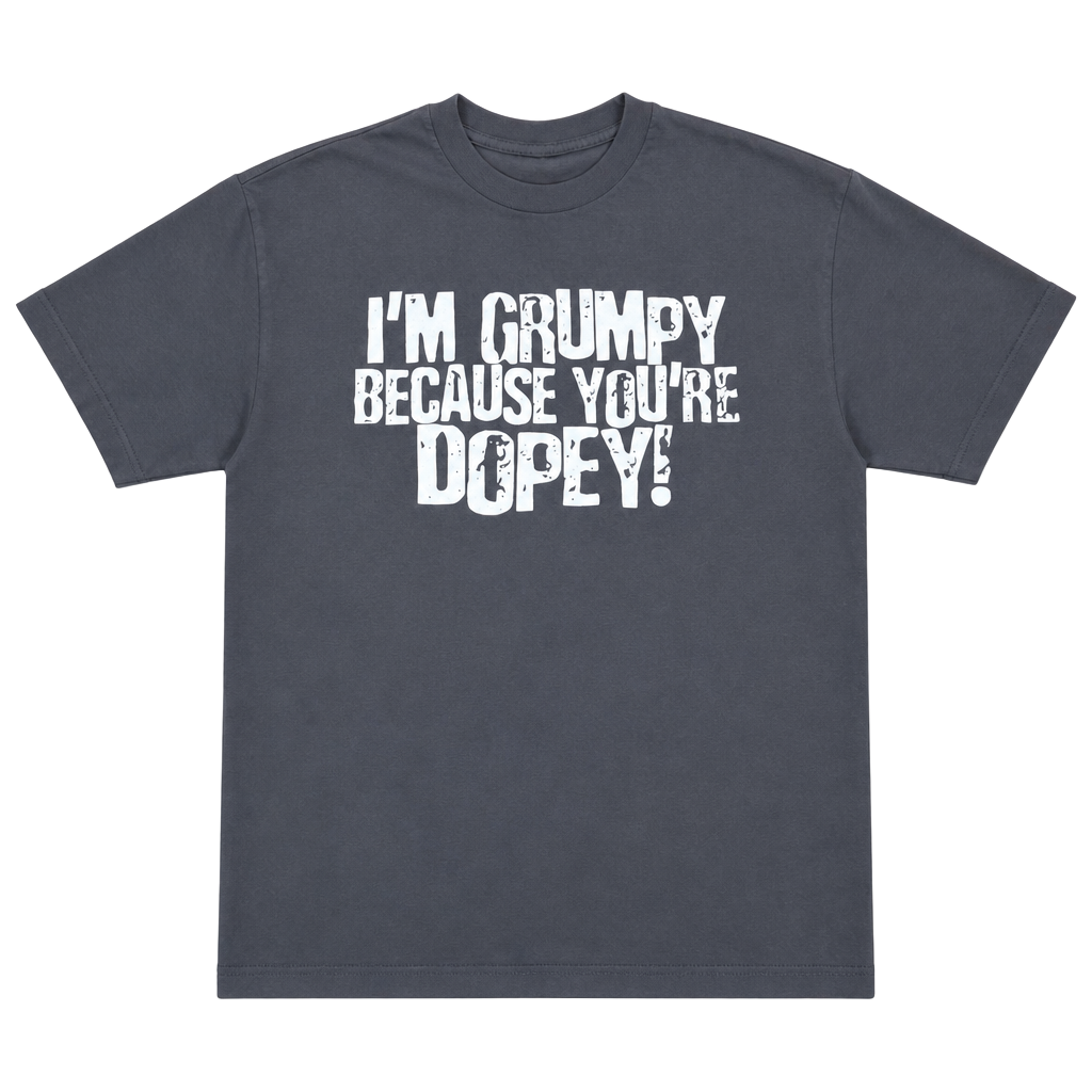 Walt Disney World I'm Grumpy Because You're Dopey Grumpy Seven Dwarfs Gray T-Shirt 1