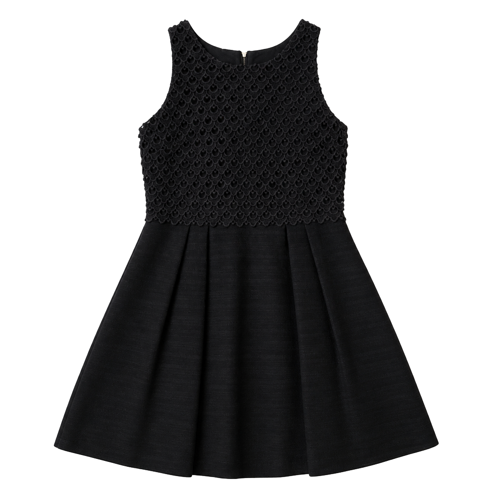 LOFT Sleeveless Dress Size 2 Black Crochet Top Fit and Flare Mini 1