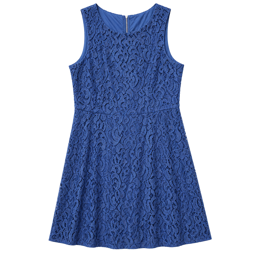 Apt. 9 Royal Blue Lace Sleeveless Zip-Back Dress Size 16 1