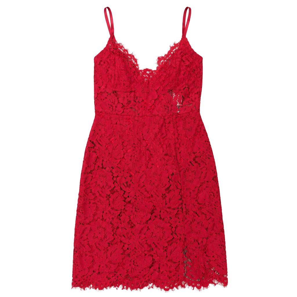 Fashion Nova Dropping Hints Lace Dress in Burgundy 1
