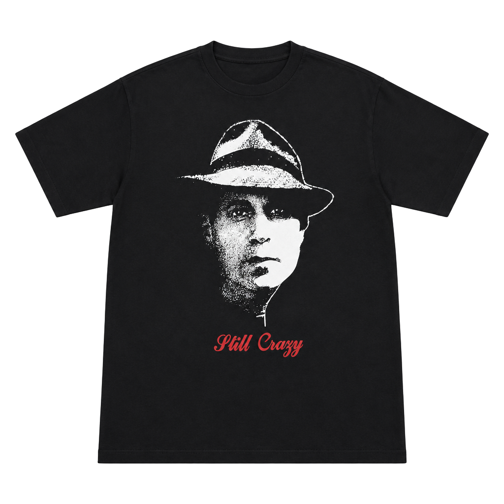 Softee Paul Simon 1991 Tour T-Shirt Size L Black Still Crazy Vintage 1