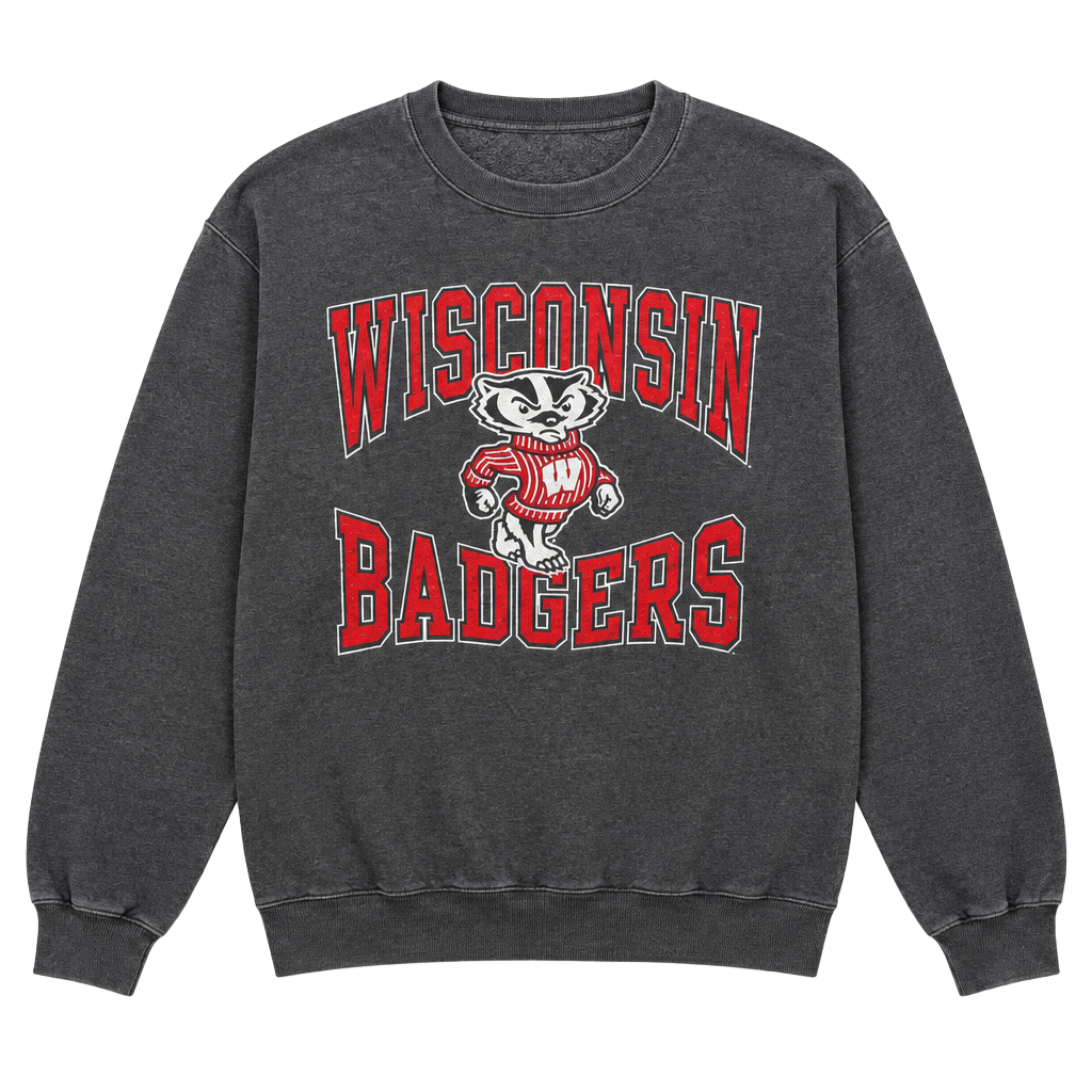 Champion Wisconsin Badgers Sweatshirt Size M Gray Crewneck Pullover 1