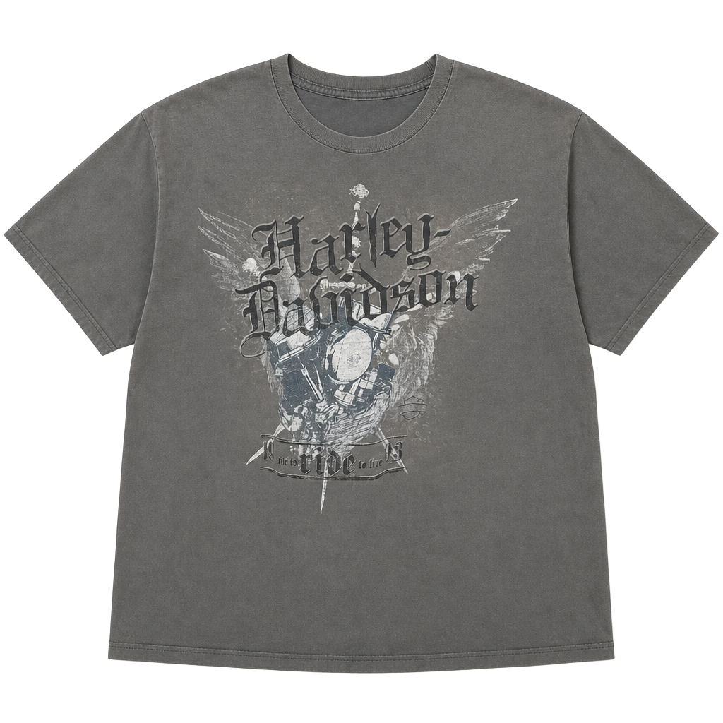 Harley-Davidson Rio Grande Valley McAllen TX Graphic T-Shirt XL 1