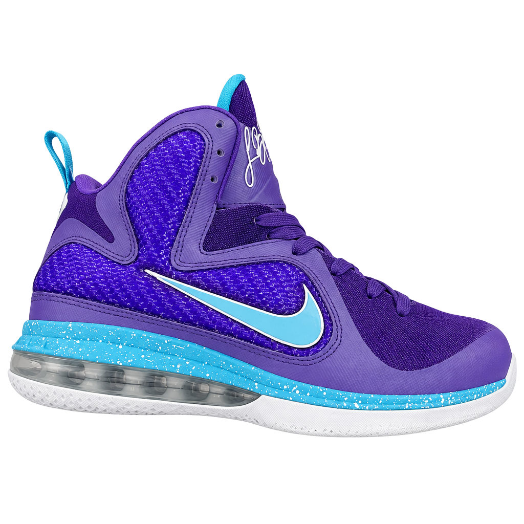 Nike LeBron 9 Purple Blue Basketball Shoes 1