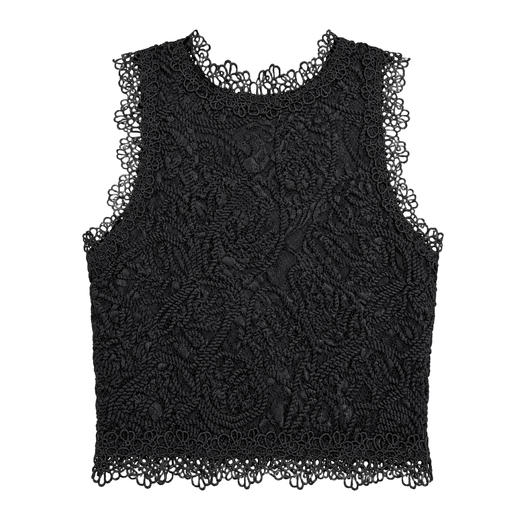 Black Lace Crop Top 1