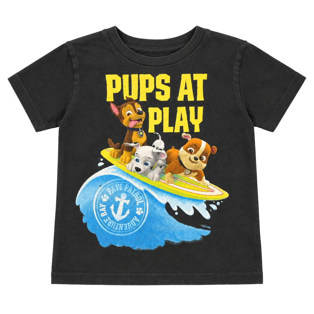 Paw Patrol Pups At Play Graphic T-Shirt Size 3T Black 1