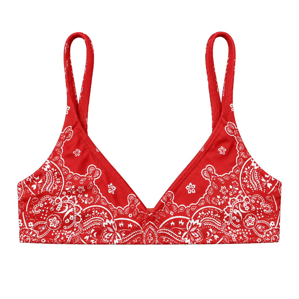 Zimmermann Bandana Paisley Bikini Top Size 6-8 1