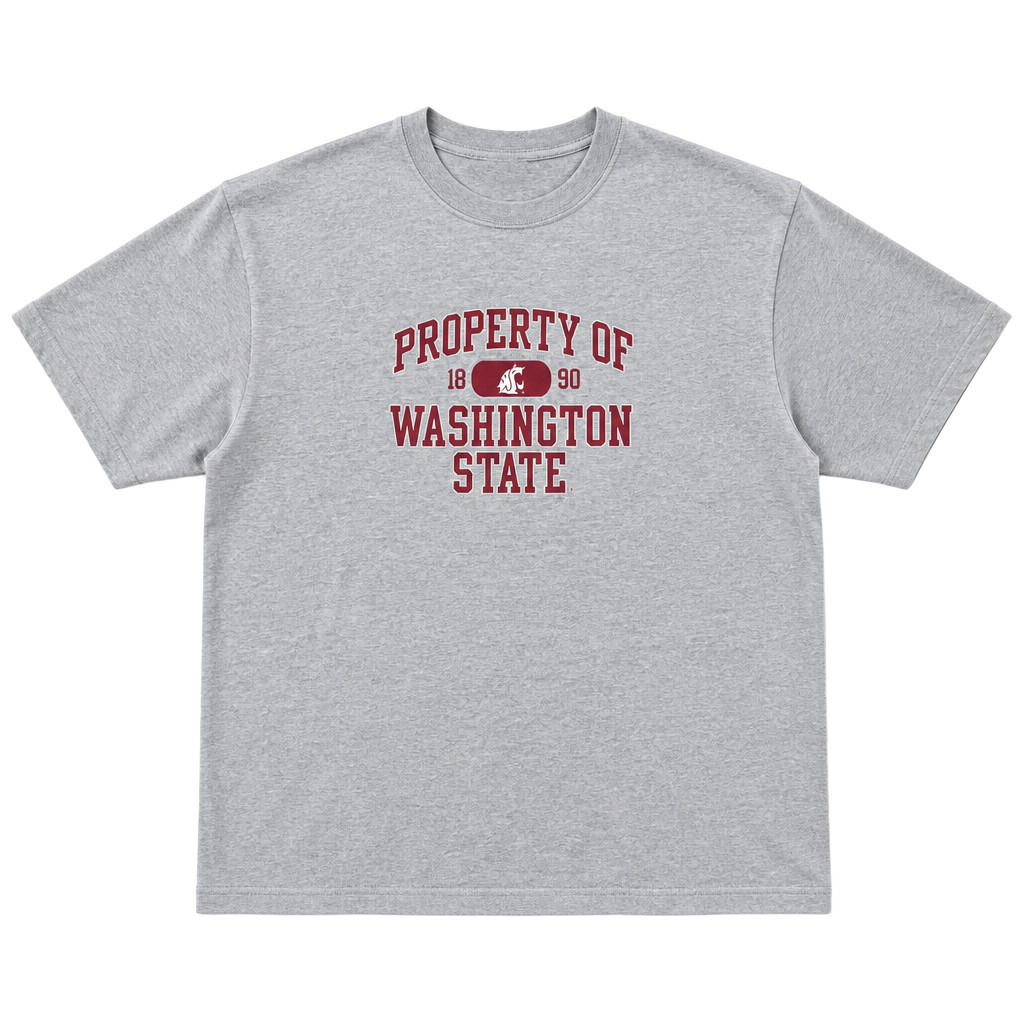 Vintage T Shirt 80's Classic Soffe 2XL Washington State Cougar WSU est 1890 1