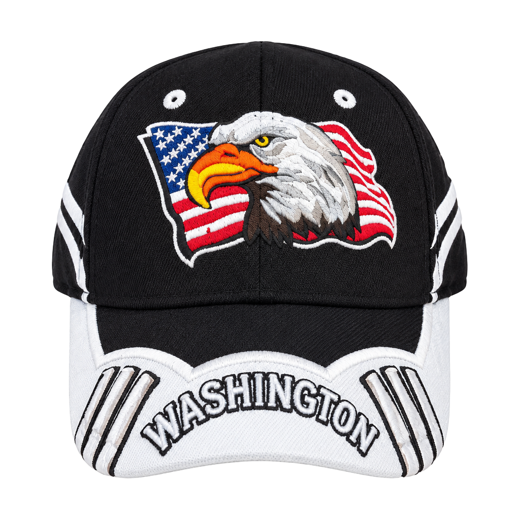 City Hunter USA Washington DC Eagle Embroidered Cap 1