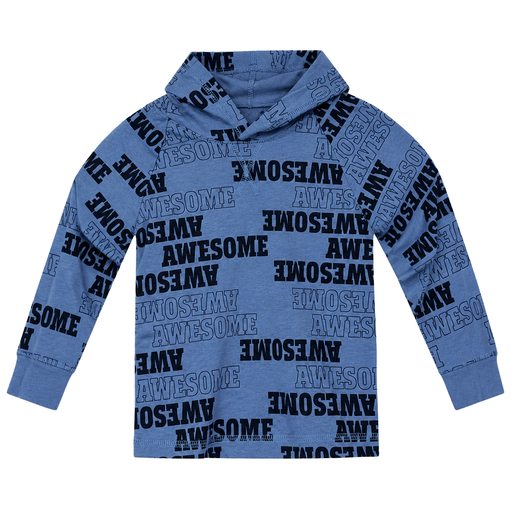 Garanimals Hoodie Size 3T Blue Awesome Print Pullover Sweatshirt 1