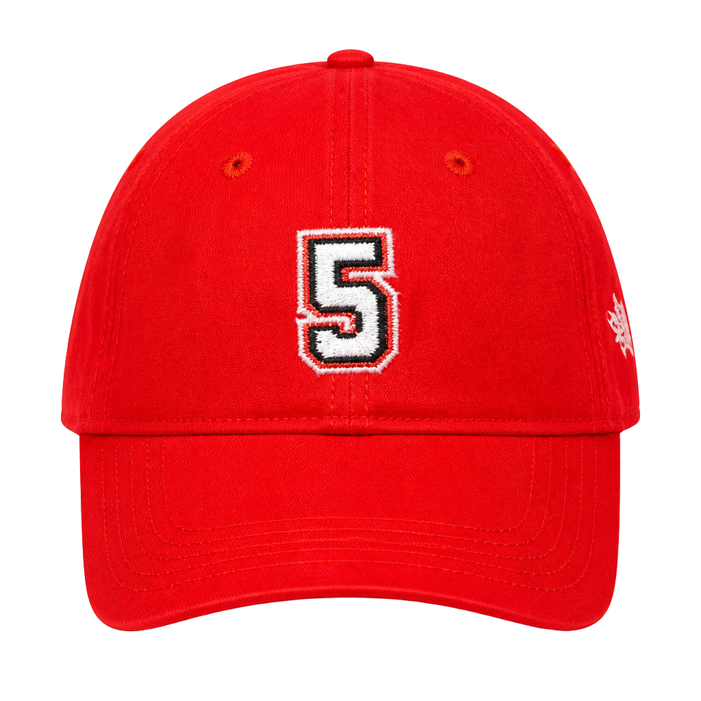 Vintage Team Penske 2004 Racing Baseball Cap Hat with #3 and #6 1