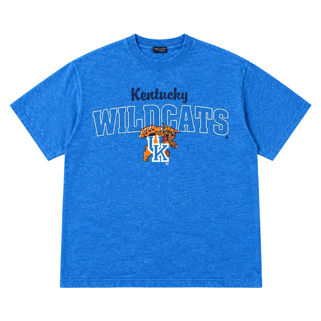Fruit of the Loom Kentucky Wildcats T-Shirt Size L Blue Vintage 90s 1