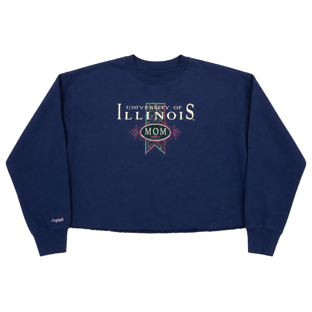 Vintage 90s University of Illinois Crewneck cropped Sweatshirt 1