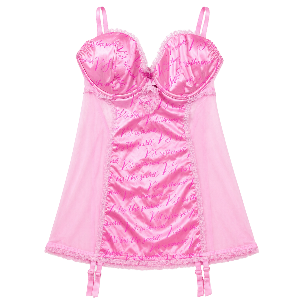 Limited Edition Victoria's Secret Fashion Show Merry Size 36D Pink Garter Slip 1