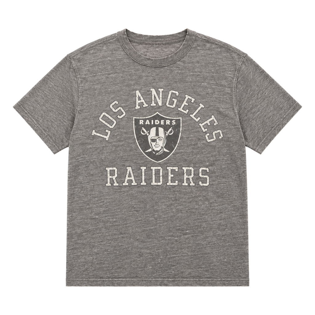 Vintage Rare Champion Los Angeles Raiders T-Shirt Size Large Gray NFL Football Tee made in USA 1