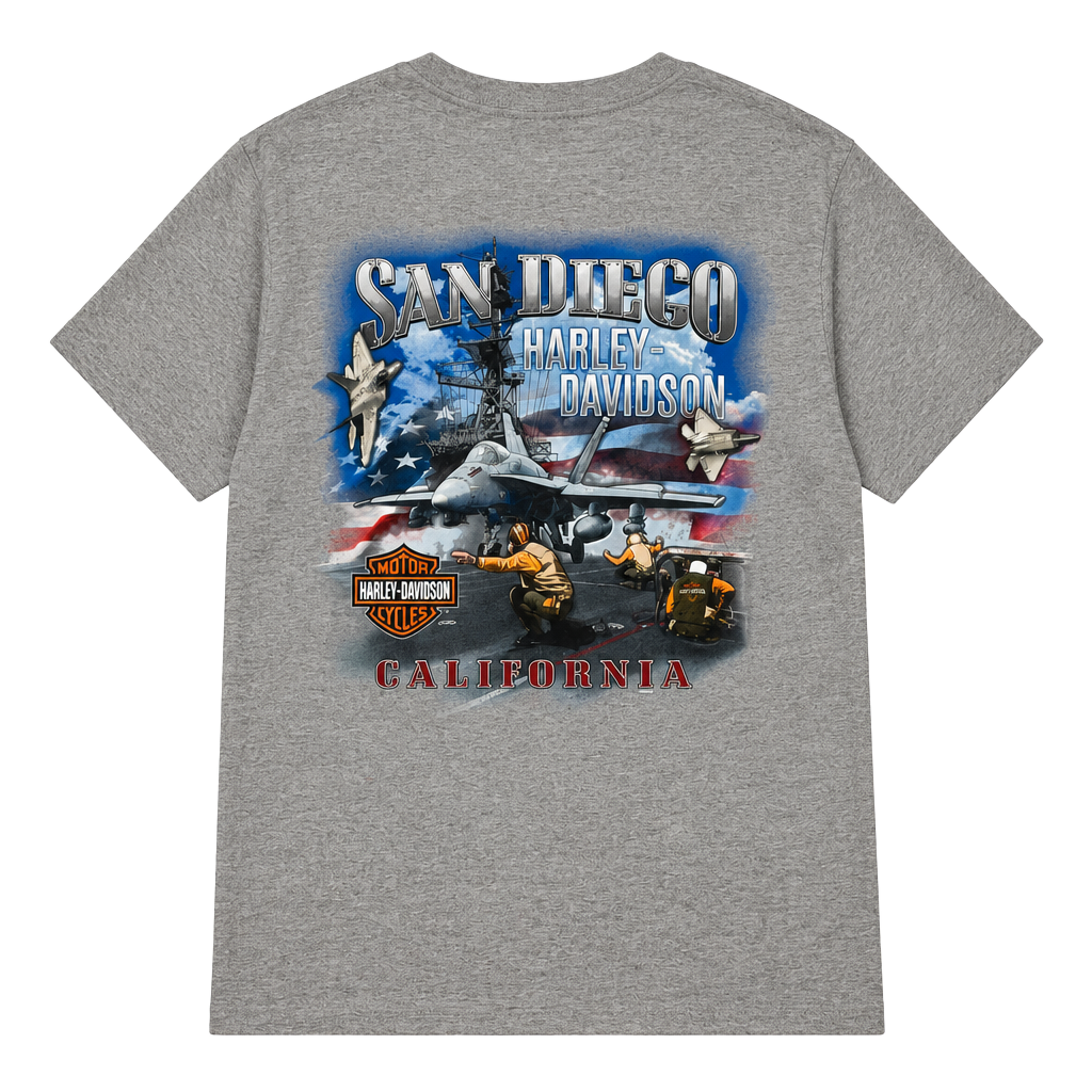 Harley-Davidson San Diego California T-Shirt Size L Gray 1