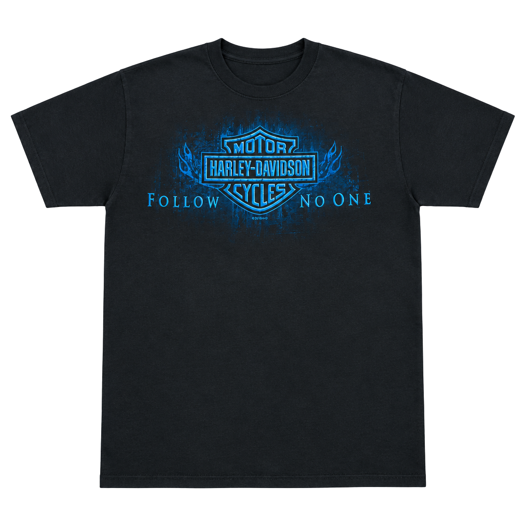 Harley-Davidson Hanes Beefy Tee
” Follow No One “ 1