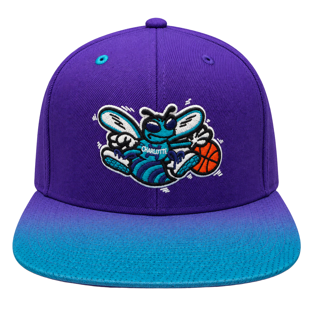 Mitchell & Ness Charlotte Hornets NBA Snapback Hat Purple Blue 1