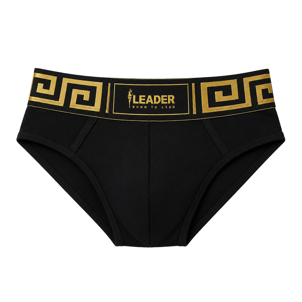 LEADER Invictus Briefs Black/Gold Size L 1