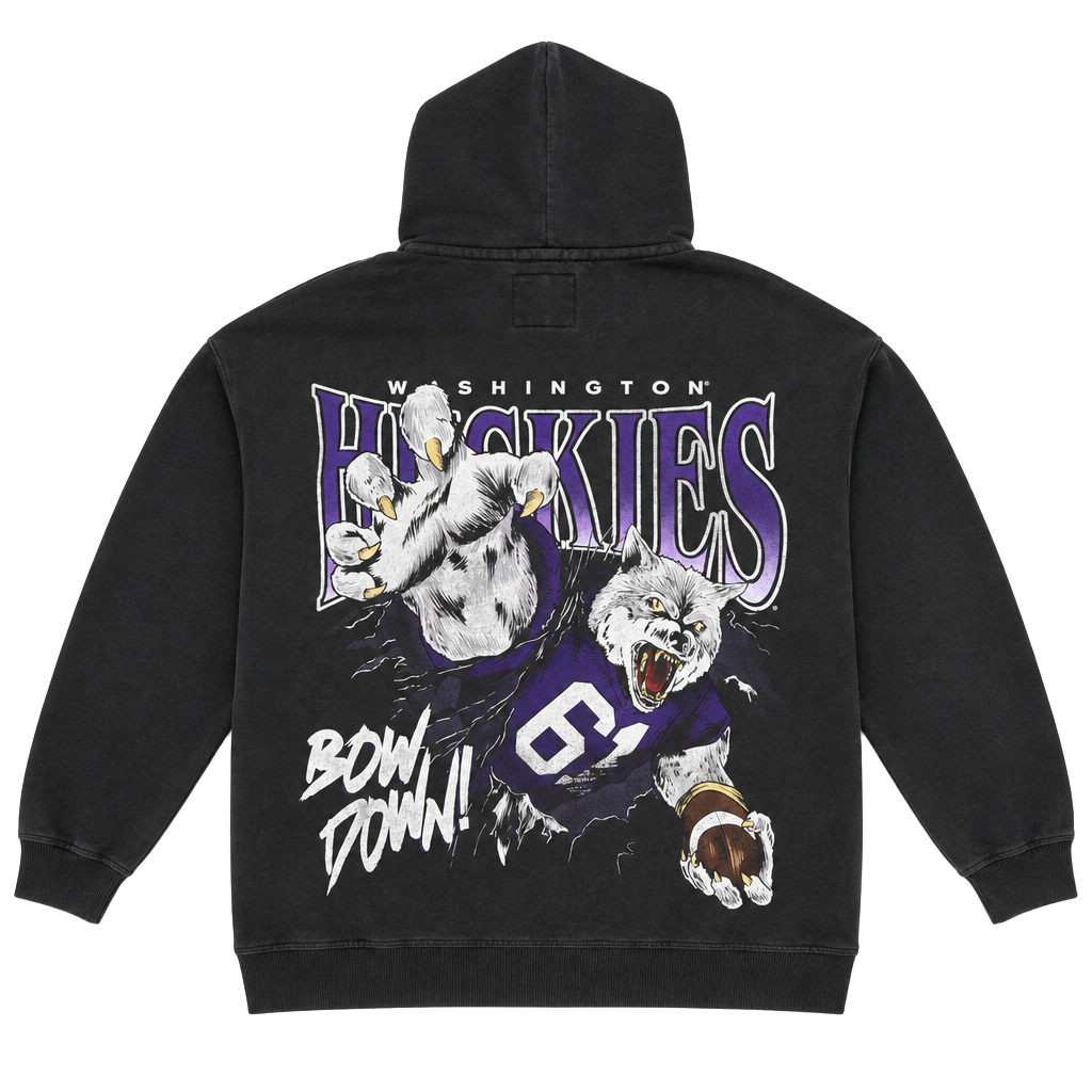 Hollister Washington Huskies Boxy Fit Hoodie Size M 1