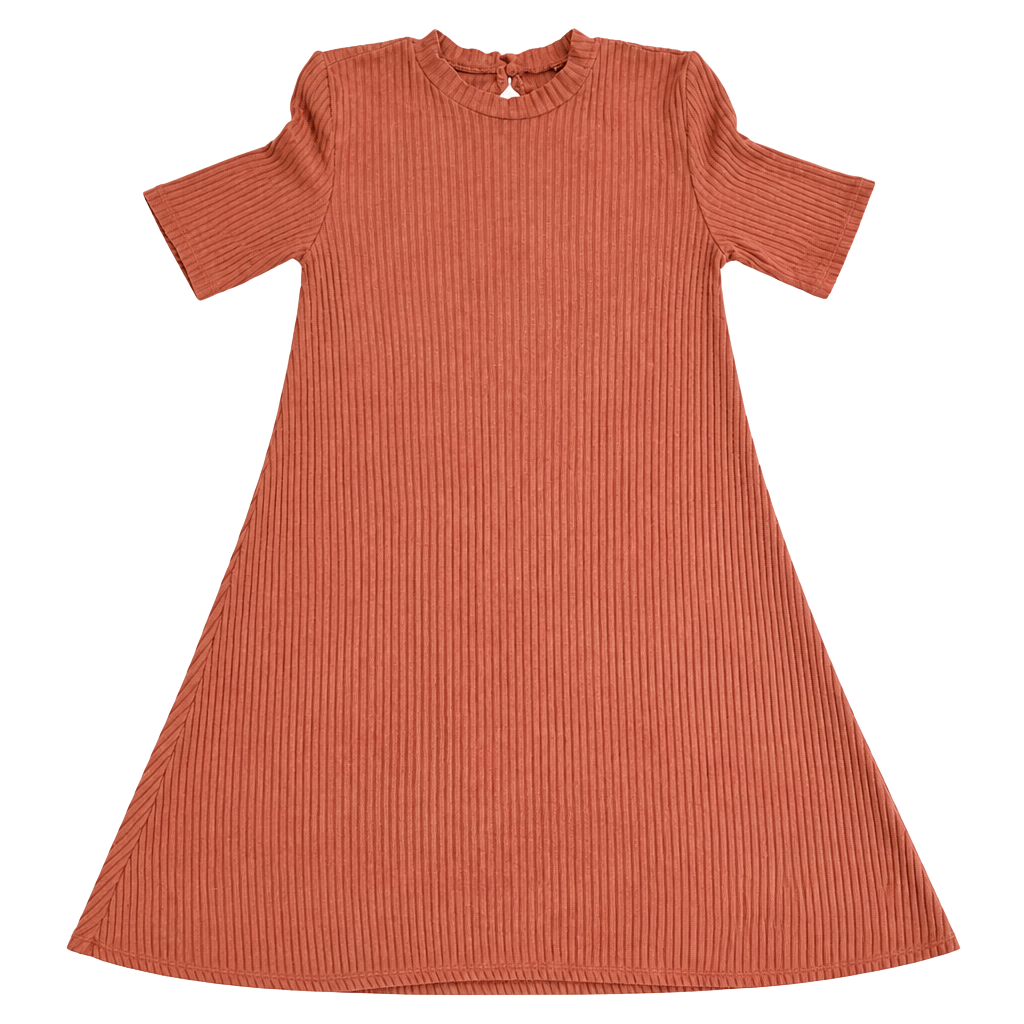 American Eagle XS Dress 1