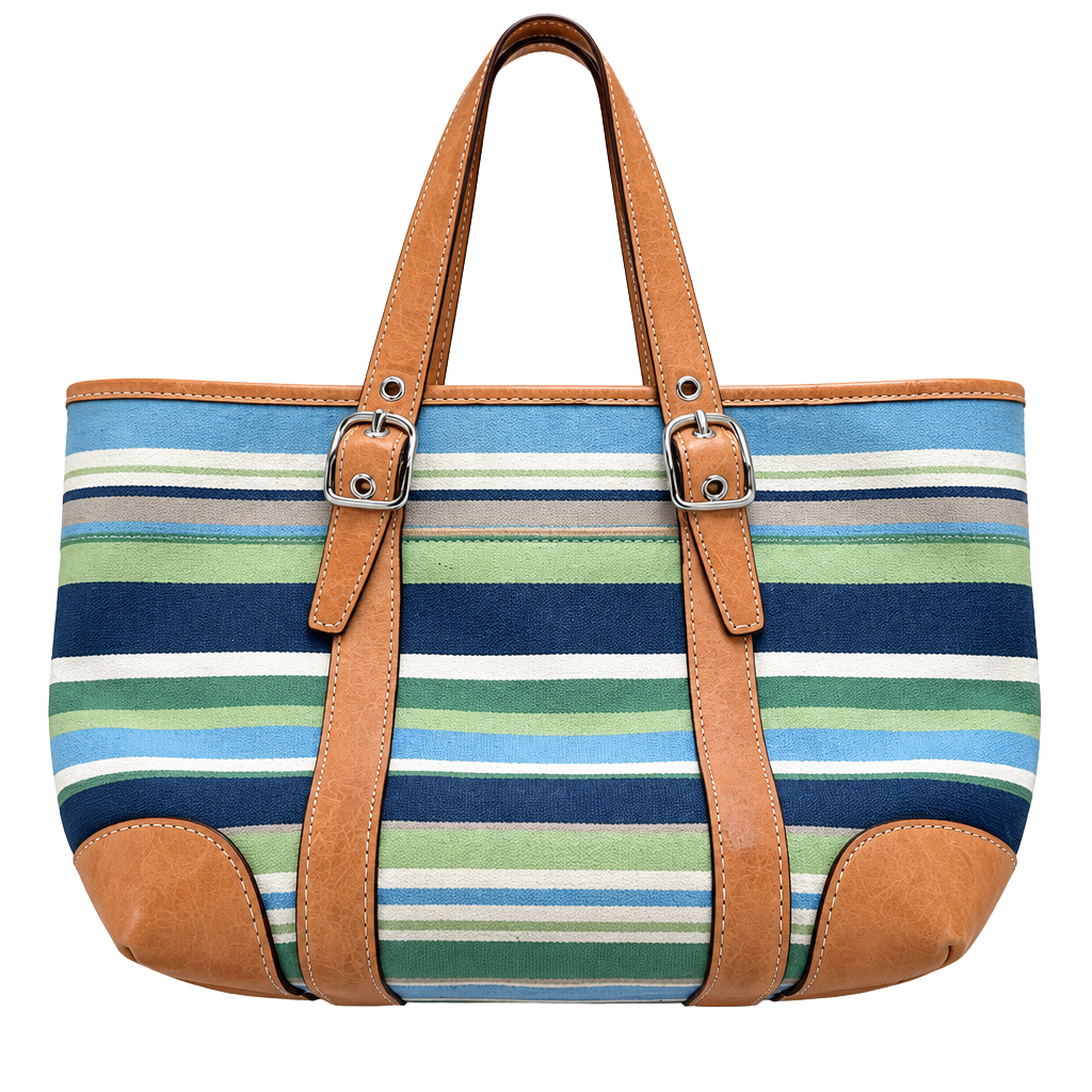 Coach Handbag 1