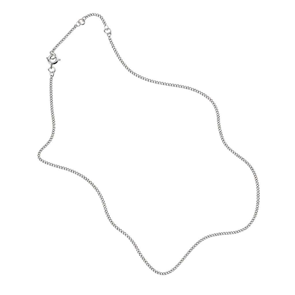 Silver Chain 1