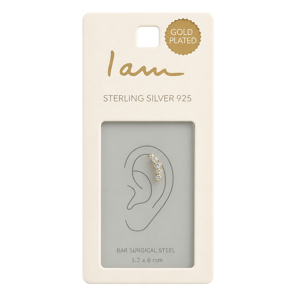 Gold Plated Earring 1