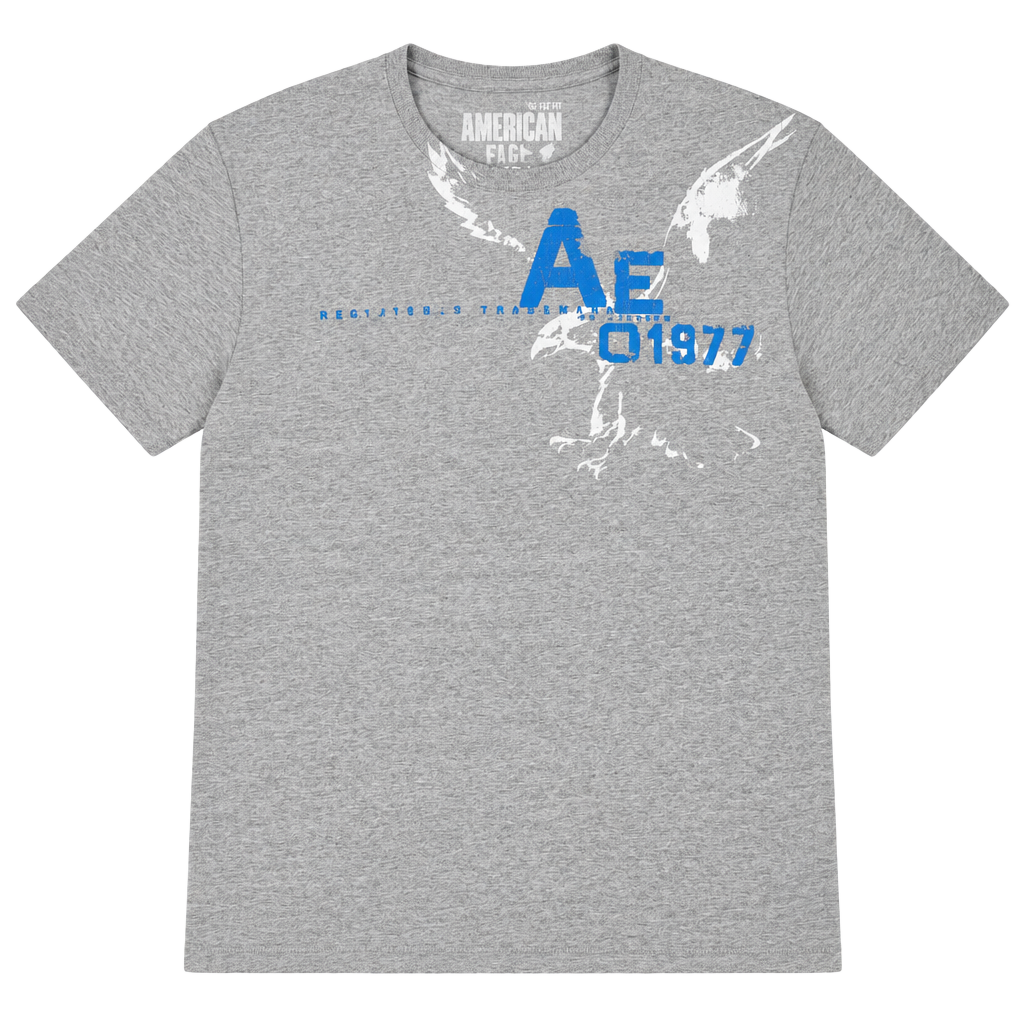 American Eagle Outfitters T-Shirt Size M Gray Graphic 1977 Tee 1