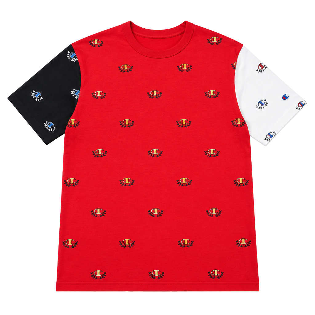 Champion Colorblock Embroidered Logo T-Shirt Size Large 1