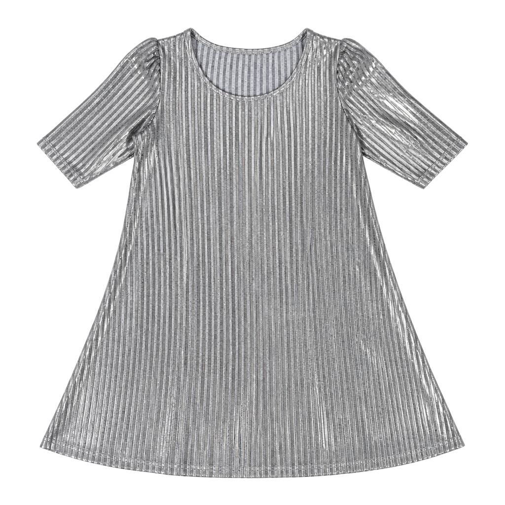 Band of Gypsies x Zoe & Rose Silver A-Line Fit n Flare Mini Dress - Size Large 1