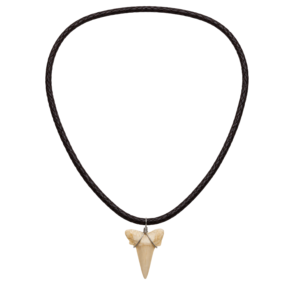 Baja Billy's Shark Tooth Leather Necklace 1