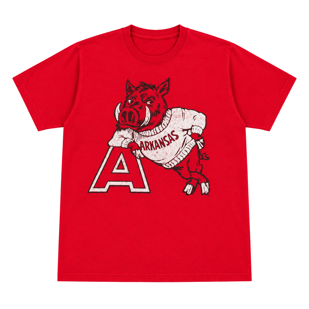 80s Jerzees Arkansas Razorbacks T-Shirt Size L 1