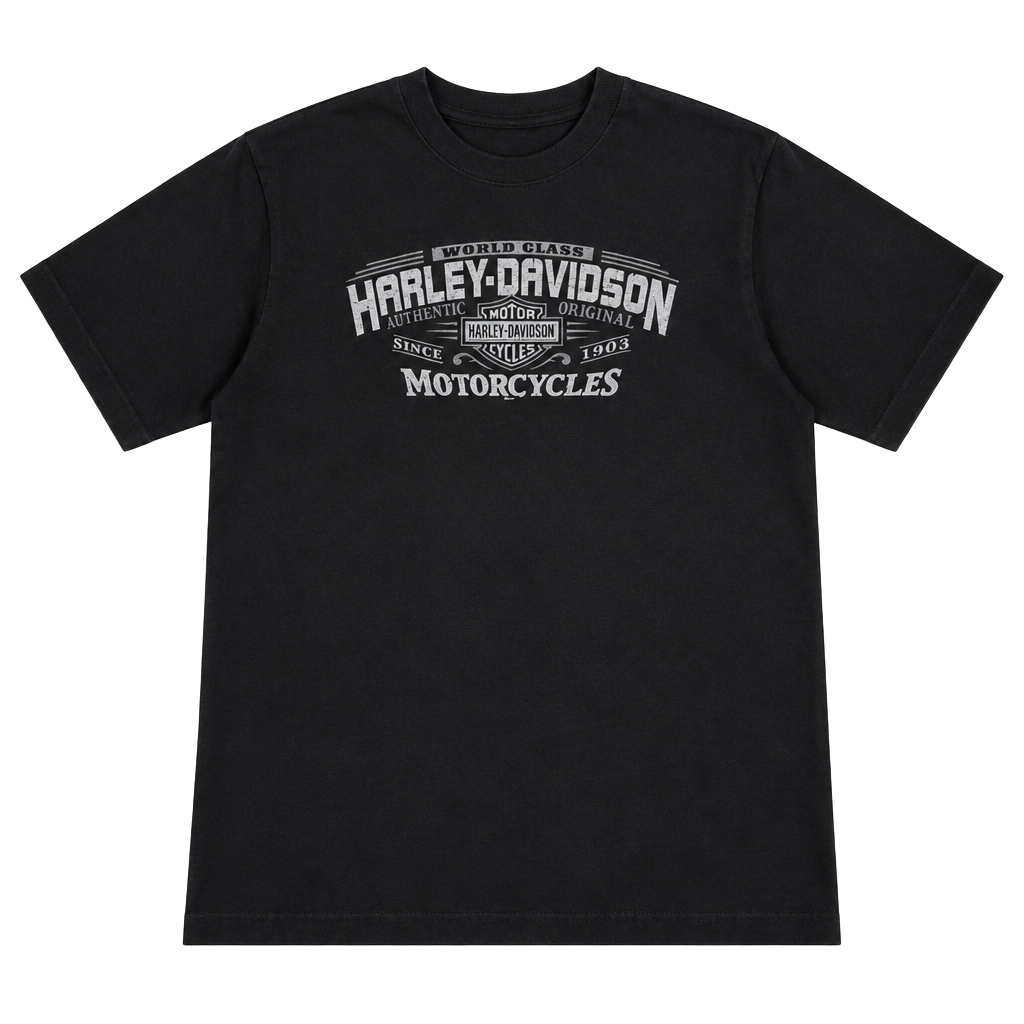 2006 Harley Davidson Buffalo New York Tee 1