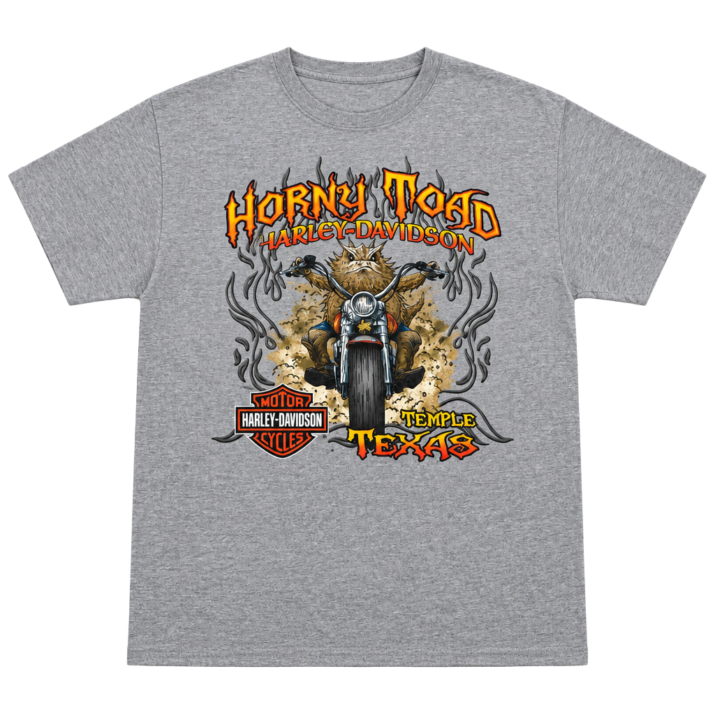Large Harley-Davidson Horny Toad Temple Texas Graphic T-Shirt Gray 1
