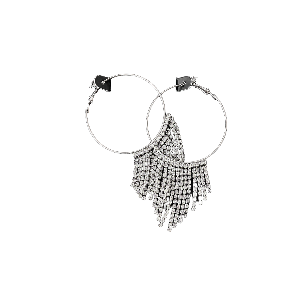 Exaggerated Water Drill Tassel Earrings – , 1