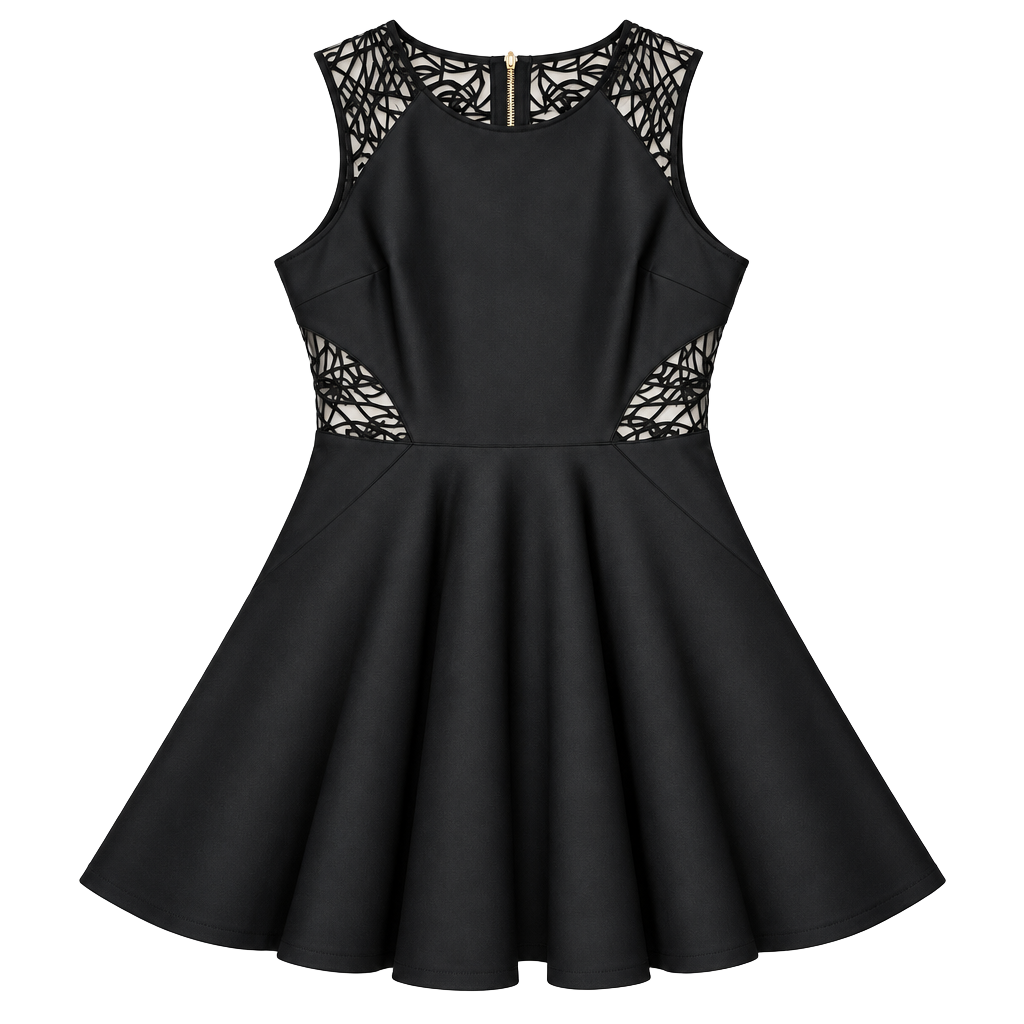 Ted Baker Venma Skater Dress Size 4 Black Lace (q1) 1