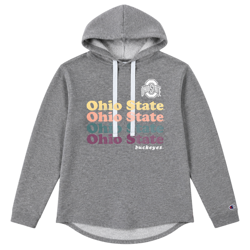 Champion Ohio State Buckeyes Hoodie Size L Gray 1