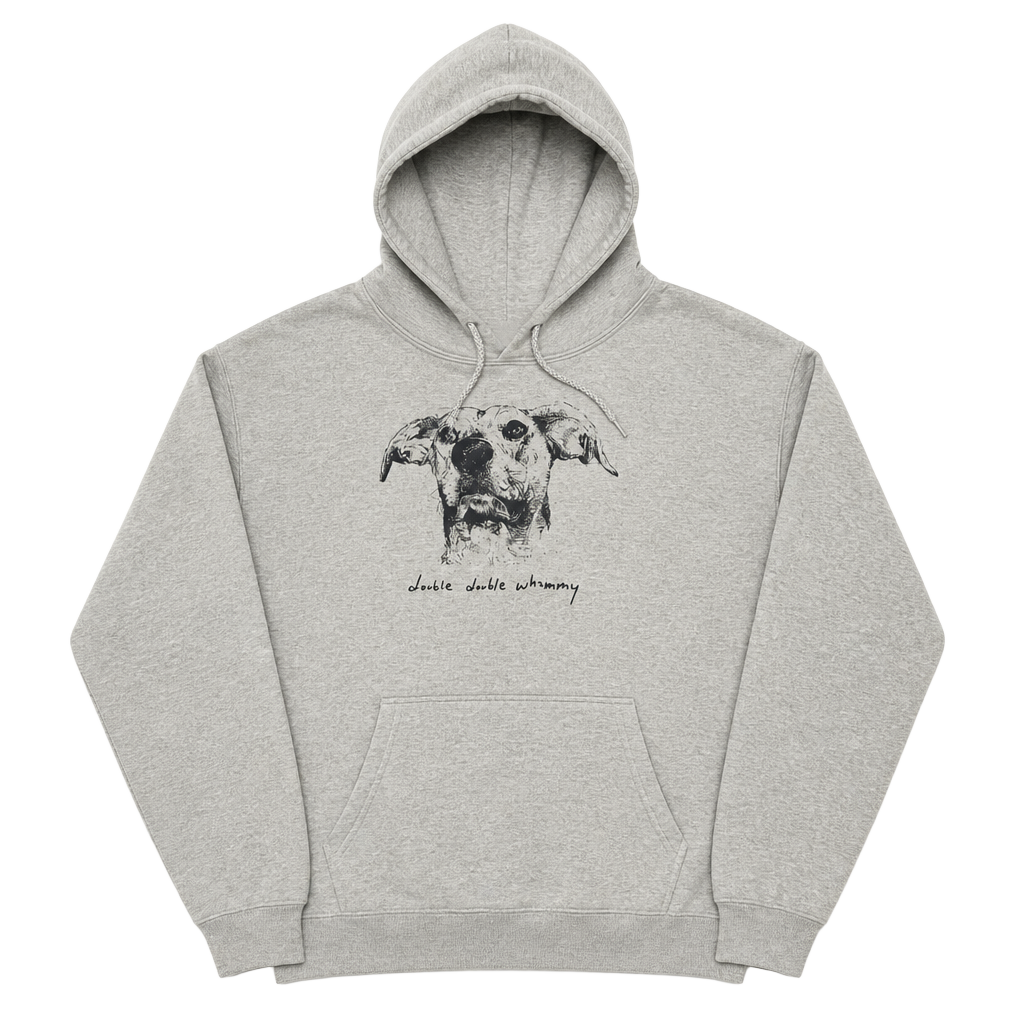 Double Double Whammy DDW Charlie Hoodie Gray Medium Hanes EcoSmart 1