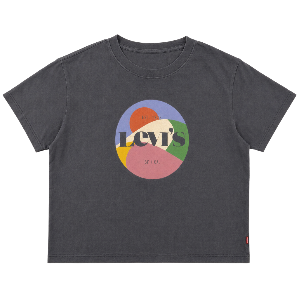 Levi's Graphic Logo Crop T-Shirt Size M 1