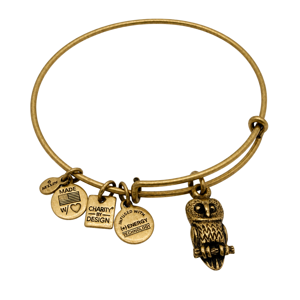 Alex and Ani Ode to the Owl Charm Bangle Bracelet in Rafaelian Gold Finish 1